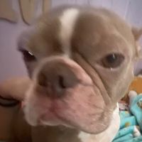 macey.bear7