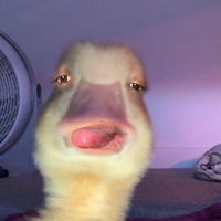 did i have a crush on the grinch