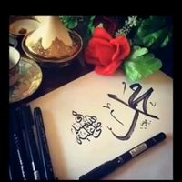 mjavad215