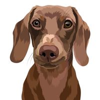 moosetheminidoxiee