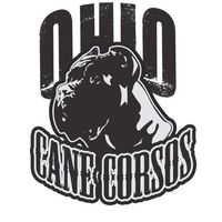 ohiocanecorsoskennel