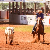 riagabrielmancinipriuli