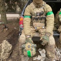 оригинальный звук