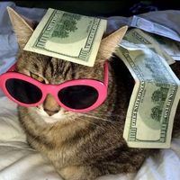 All the things she said