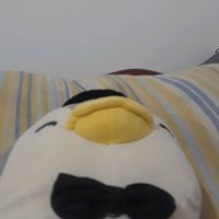 sonido original - oveja215