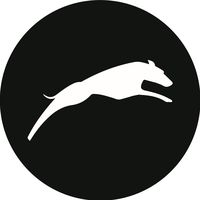 greyhound_automotive