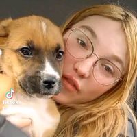 yo_is_coco