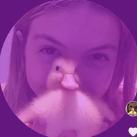 themunchkin11