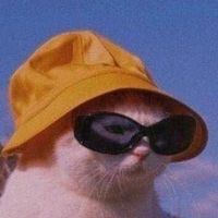 weslany7