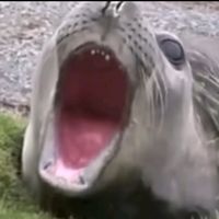 il_ragazzo_dei_disegni_