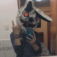 cassy_dlttmr
