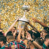 tricolor_ffc