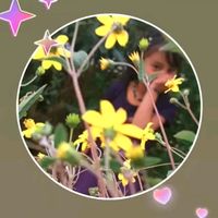 marily.calel7