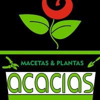 macetasyplantasacacias