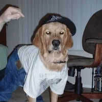 original sound - nesisfvck