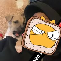 urfavvella80