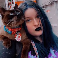 living_that_crazy_life