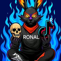ronalcarhuallay