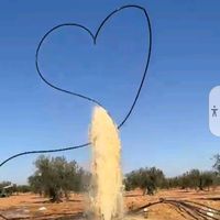 najehfatnassi926sondage