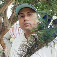 manojkumarparhyar