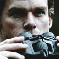 original sound - turtle.fxx