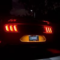 viral_gt500