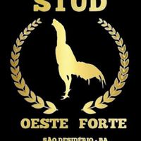 estudio_ostesforte