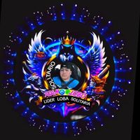 lobo_solitario502oficial