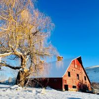 thatredbarnlady
