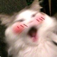 оригінальний звук