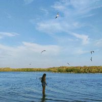 pierinaescaratesuncion