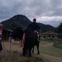 robinsonlvarezdel