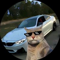 veanmisvideosxd