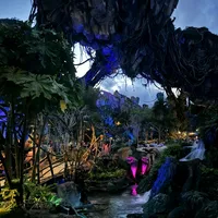 credits to Brianna briisbetterthencam