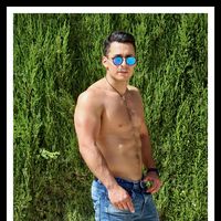 cm.reflexmodel