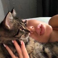 queen_ais_01