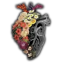 original sound - adamm0765