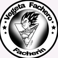 vegeta.fachero.facherin