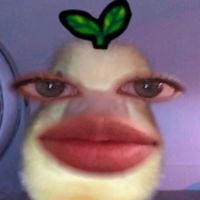 bee._swim