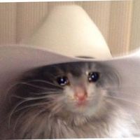 SonidoArd2120 GerardoOrtiz Darell BilletesDe100