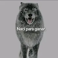 original sound - javierfonca