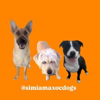 simiamaxocdogs