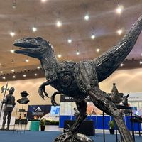 escutoredismararruda