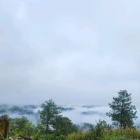 irma.carachij