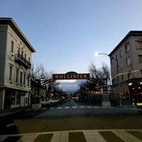 merinofino