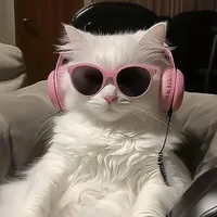 original sound - _daily_dani