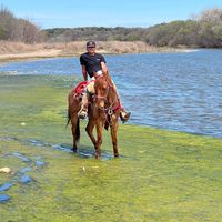 nelsonhernandez20947