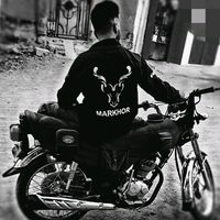 sherozshaikh19