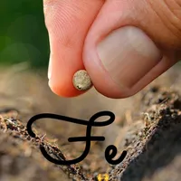 original sound - jovendedio