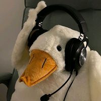 the._.music